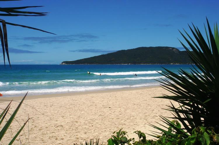 Lindo Apto Na Praia Dos Ingleses Florianópolis Eksteriør billede